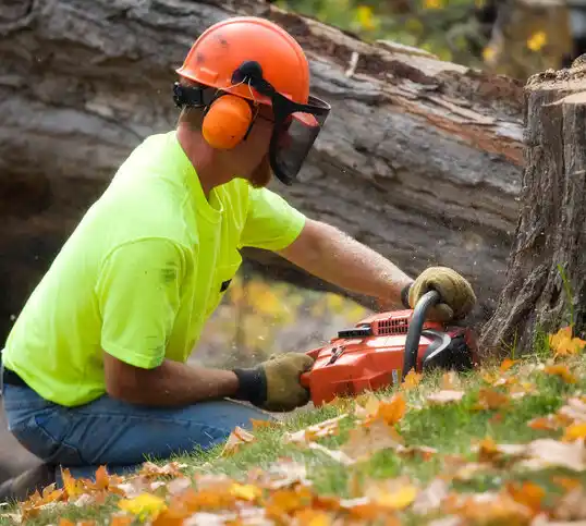 tree services Twin Bridges